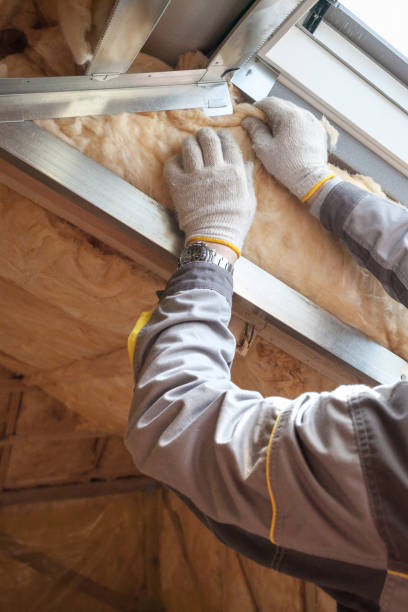 Best Insulation Removal  in Crane, MO