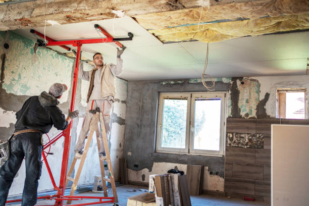 Best Commercial Insulation Contractor  in Crane, MO