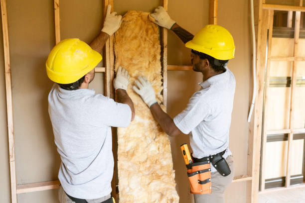 Best Blown-in Insulation  in Crane, MO