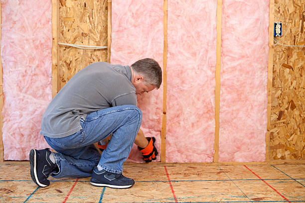 Best Insulation Contractor Near Me  in Crane, MO