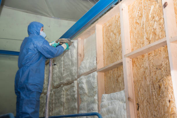 Best Insulation Repair Services  in Crane, MO