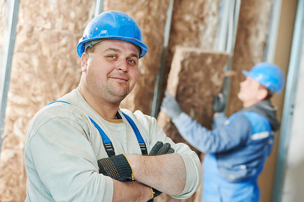 Best Insulation Contractors for Homes  in Crane, MO